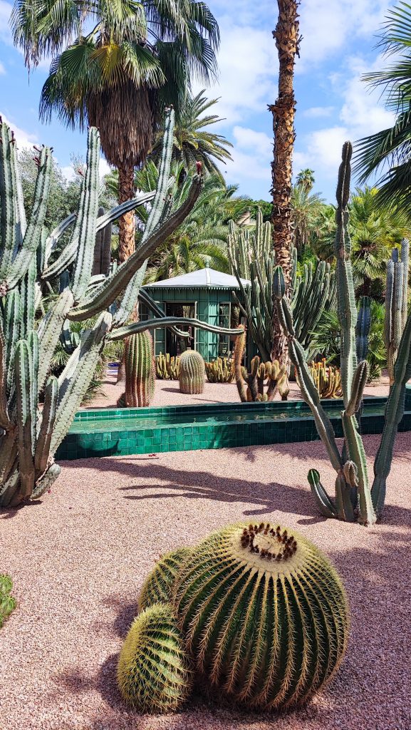marrakech in cinque giorni