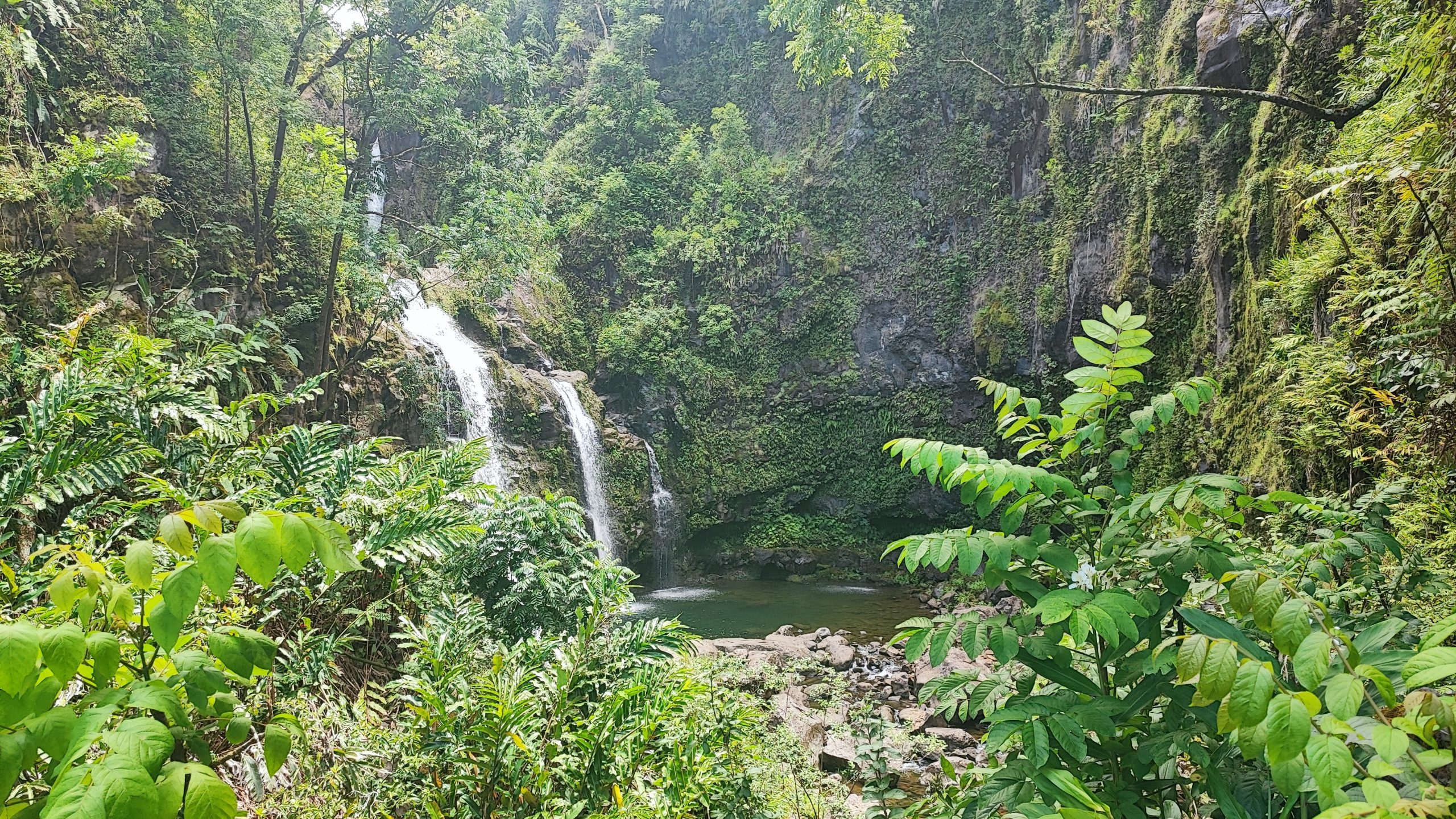 viaggio alle hawaii di due settimane